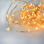 Copper Fairy Lights for plants (100 Bulb)
