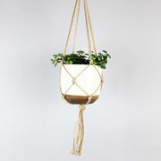 Macrame Plant Hanger | Brown Rope - Bloombox Club