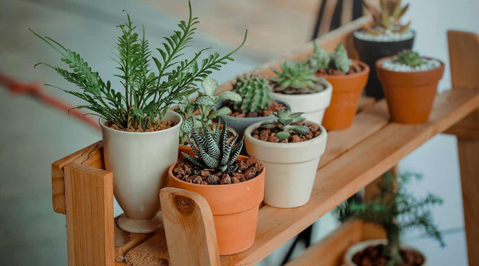 17 Pretty Decorative Indoor Plant Pots