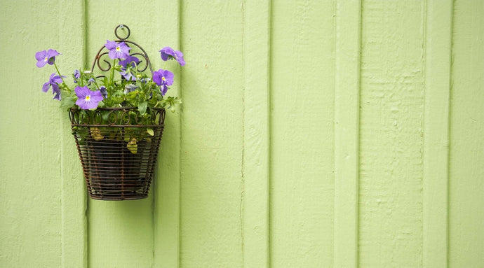 New Year Decorating Using Your Indoor Plants