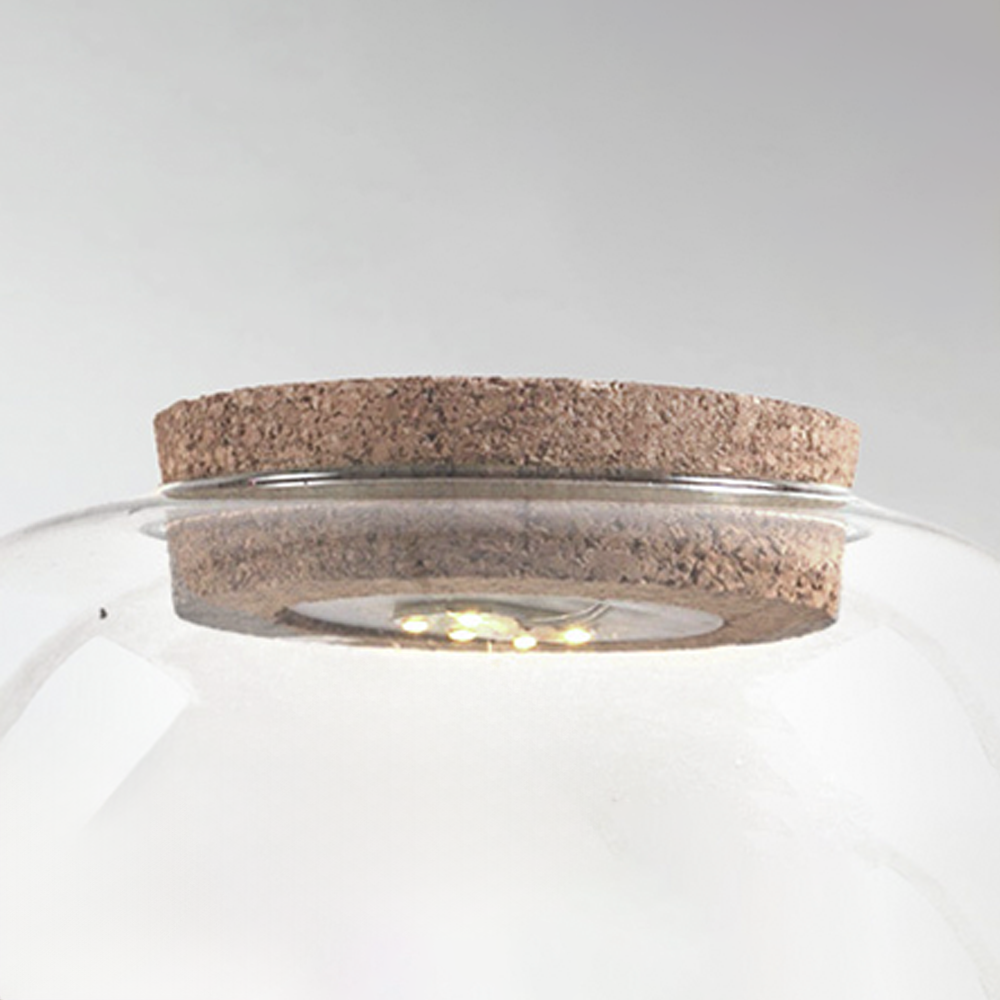 Terrarium Cork Lid with LED light